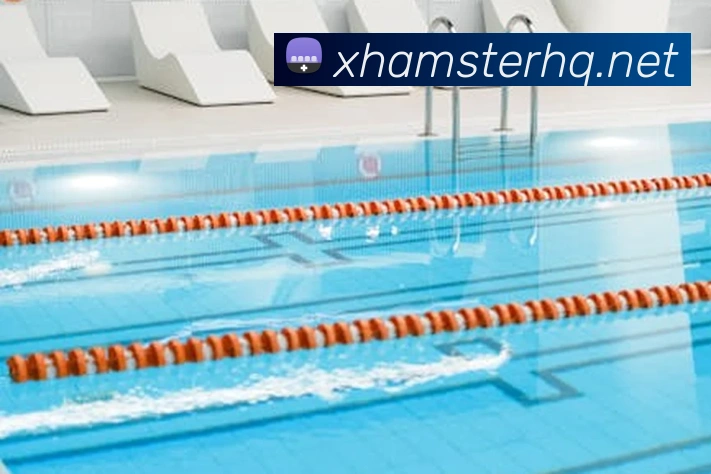新濠天地线上官网APP 封面图